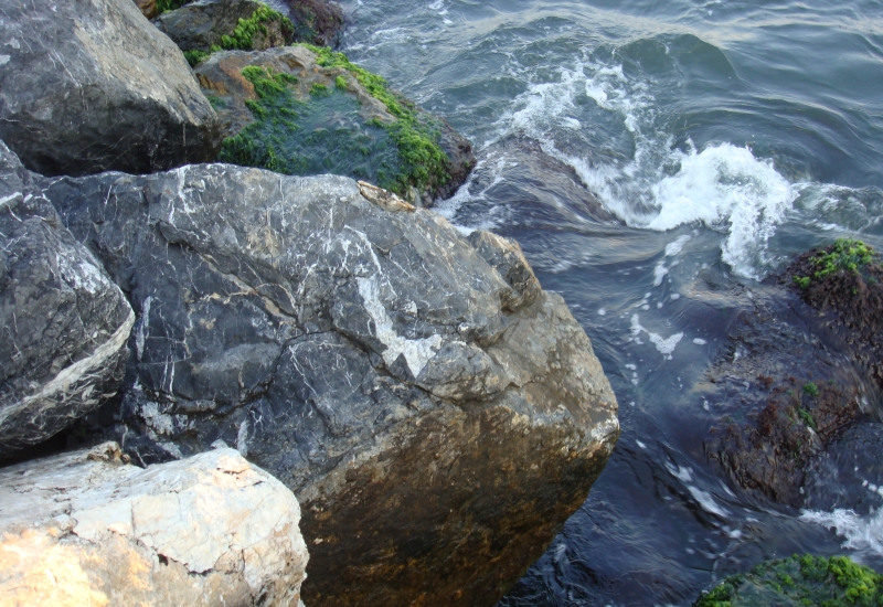 <p>Test ürünü 1</p>
